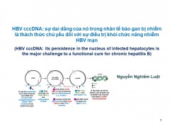 HBV cccDNA: sự dai dẳng của nó trong nhân tế bào gan bị nhiễm là thách thức chủ yếu đối với sự điều trị khỏi chức năng nhiễm HBV mạn