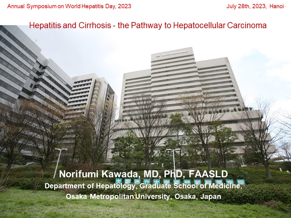 Hepatitis and Cirrhosis - the Pathway to Hepatocellular Carcinoma