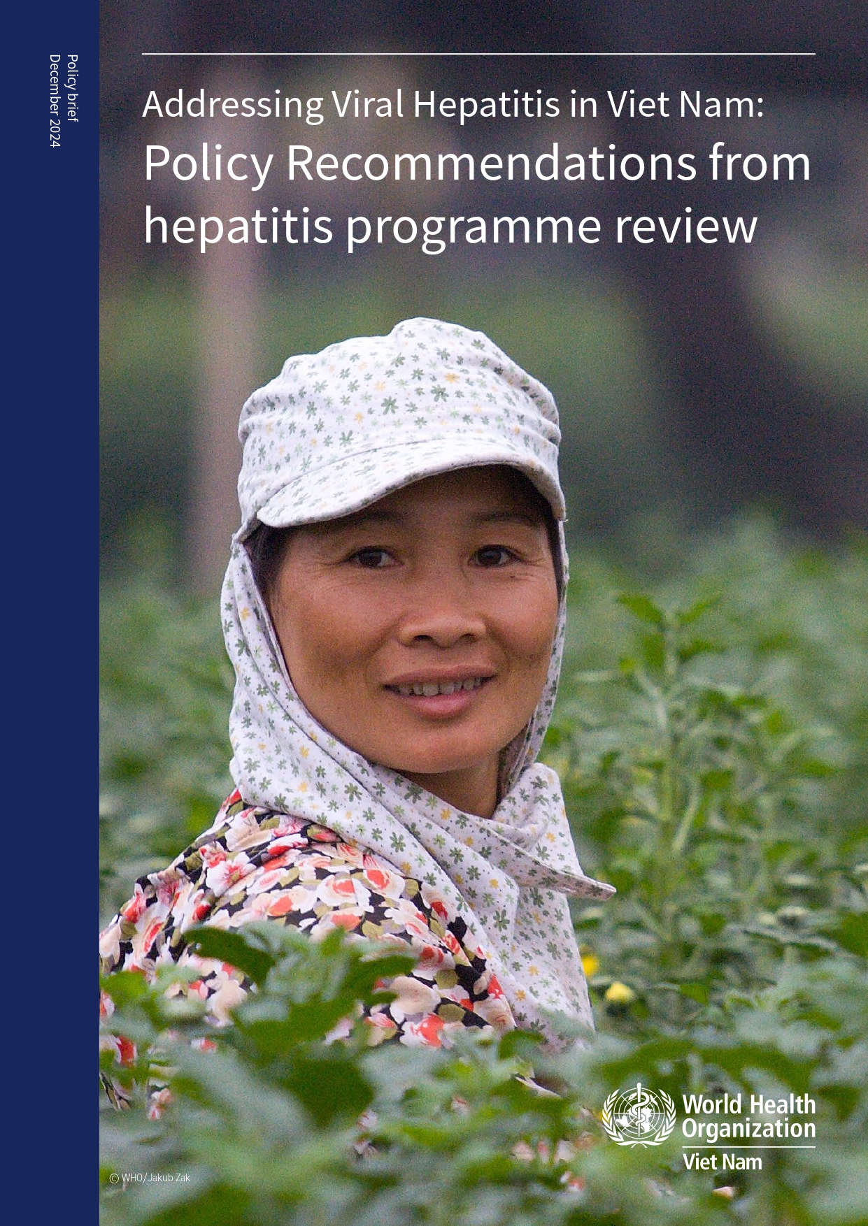 Addressing Viral Hepatitis in Viet Nam: Policy Recommendations from hepatitis programme review